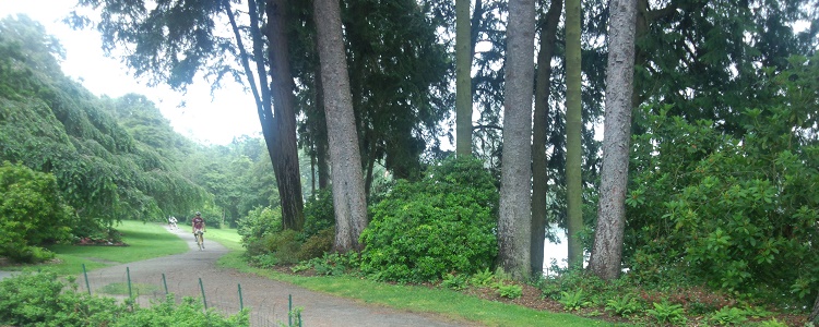 質問・ご相談はユーザーズフォーラムへ